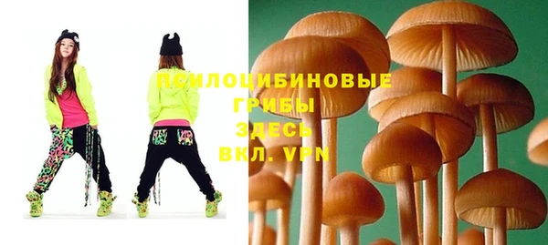 твердый Алзамай