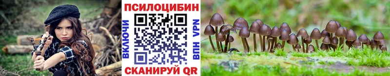 Купить где Таруса Псилоцибиновые грибы ЛСД